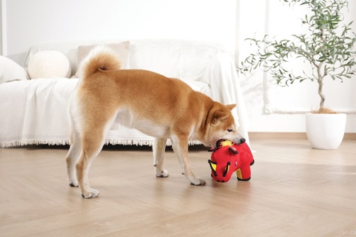 M-pets Mega Dog Toy Wild Boar