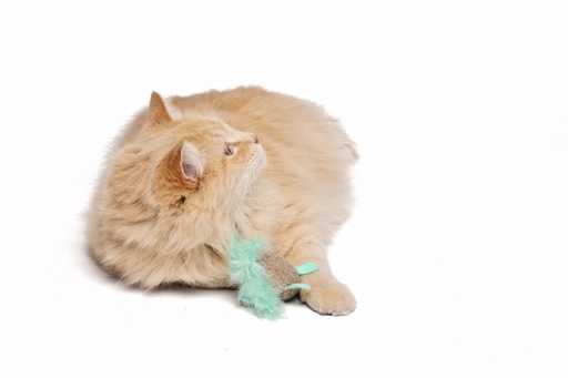M-pets Mouse 17 X 7 X 4cm