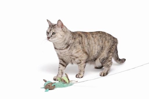 M-pets Mouse 17 X 7 X 4cm