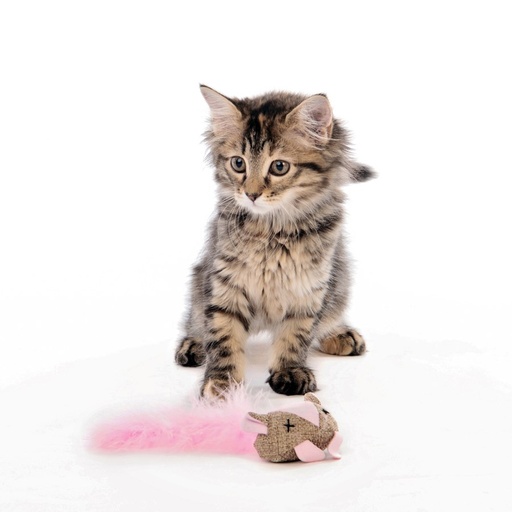 M-pets Mouse 17 X 7 X 4cm