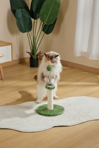 M-pets My First Cat Tree Feather Green