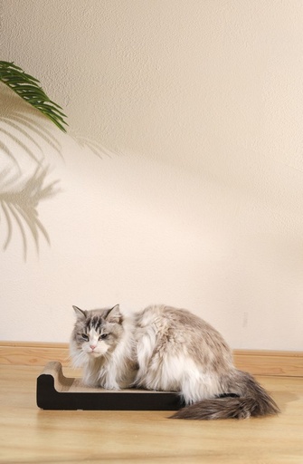 M-pets My Scratchy Montana Cat Cardboard Scratchers