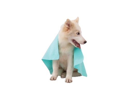 M-pets Bathtime Quick-dry Towel For Cats And Dogs Green Bubble