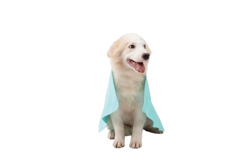 M-pets Bathtime Quick-dry Towel For Cats And Dogs Green Bubble