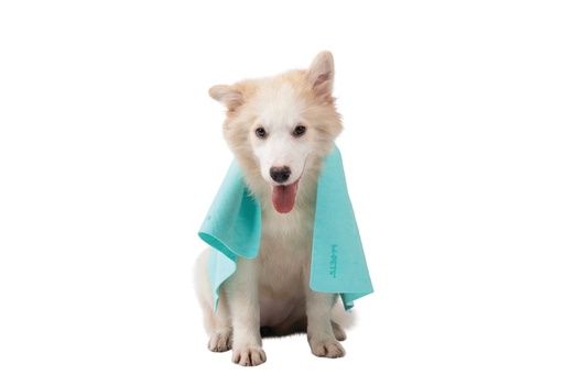 M-pets Bathtime Quick-dry Towel For Cats And Dogs Green Bubble