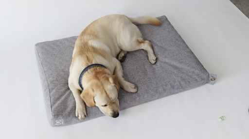 M-pets Oleron Mat Cushion - S - 2