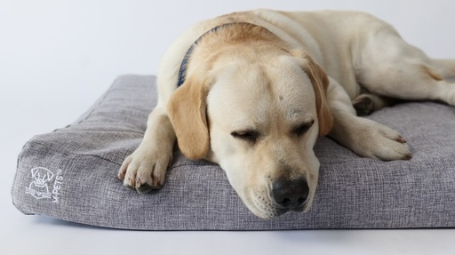 M-pets Oleron Mat Cushion - S - 2