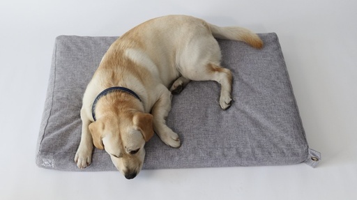 M-pets Oleron Mat Cushion - S - 2