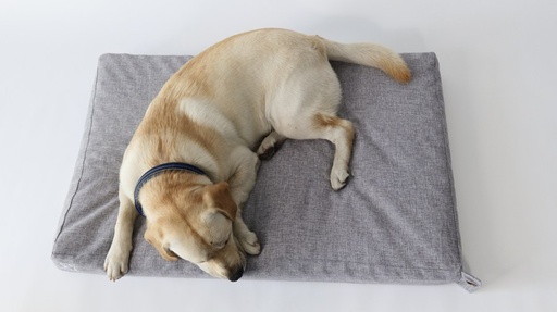 M-pets Oleron Mat Cushion - S - 2