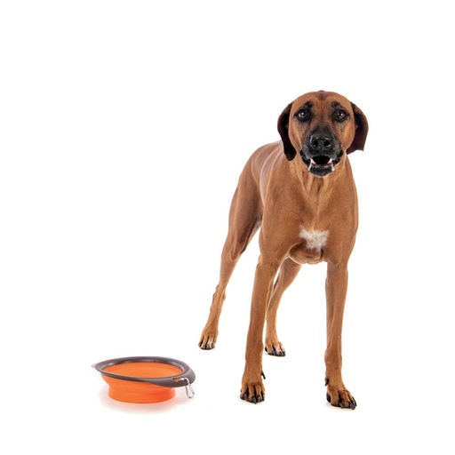 M-pets On The Road Foldable Bowl L - 30 X 23 X 7.4cm - 1230ml