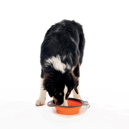 M-pets On The Road Foldable Bowl L - 30 X 23 X 7.4cm - 1230ml