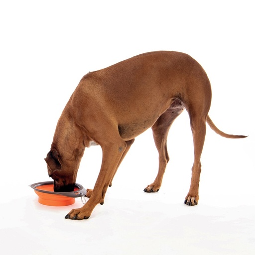 M-pets On The Road Foldable Bowl L - 30 X 23 X 7.4cm - 1230ml