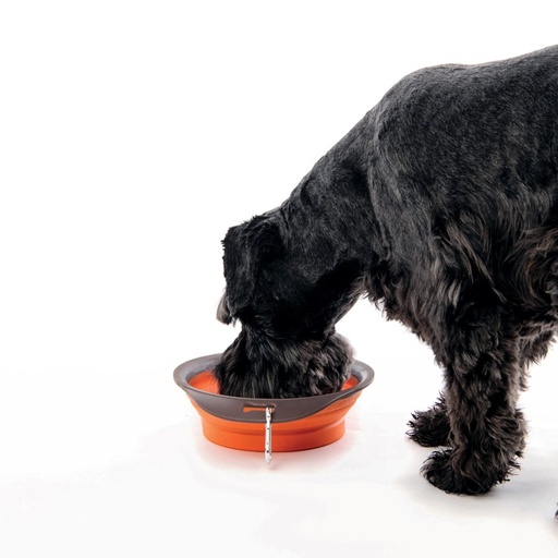 M-pets On The Road Foldable Bowl M - 25 X 19 X 6cm - 750ml