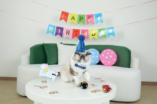 M-pets Party Time Cat Gentleman's Set