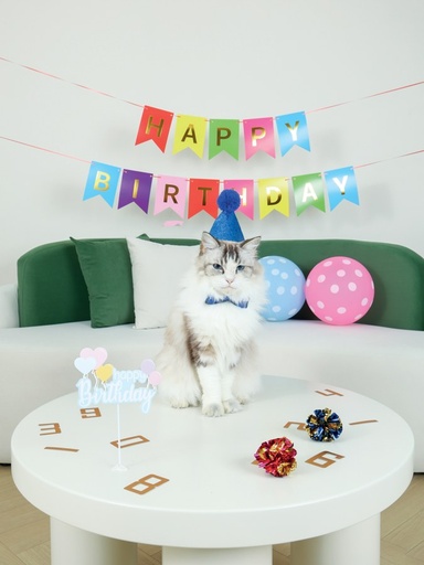 M-pets Party Time Cat Gentleman's Set