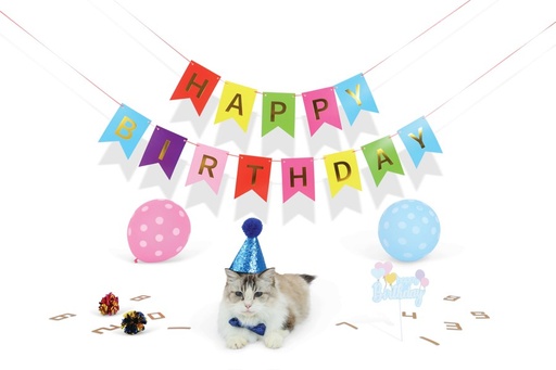 M-pets Party Time Cat Gentleman's Set