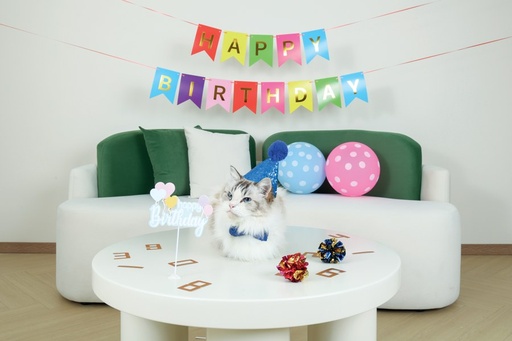 M-pets Party Time Cat Gentleman's Set