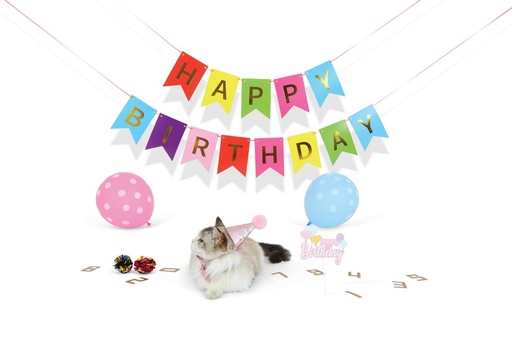 M-pets Party Time Cat Lady's Set