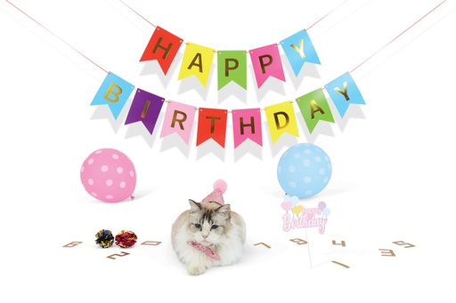 M-pets Party Time Cat Lady's Set
