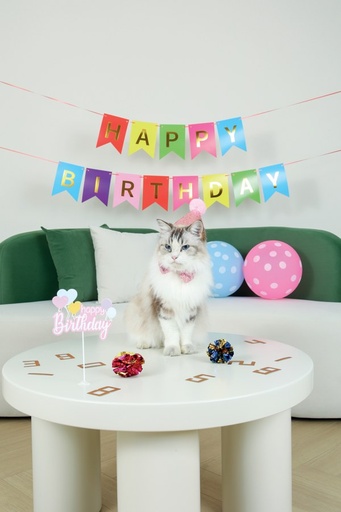M-pets Party Time Cat Lady's Set