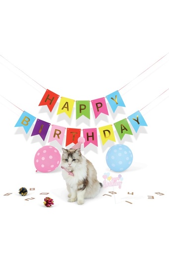 M-pets Party Time Cat Lady's Set