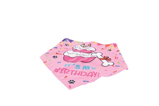 M-pets Party Time Dog Lady's Set