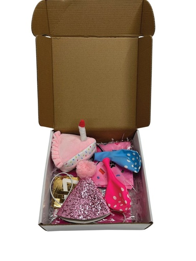 M-pets Party Time Dog Lady's Set