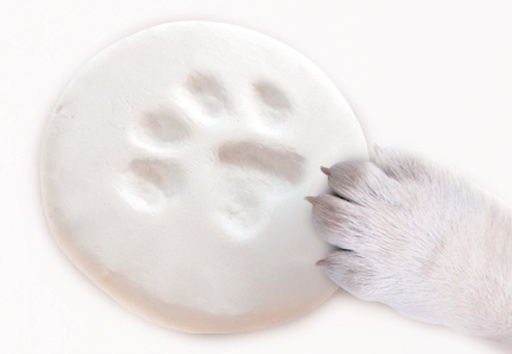 M-pets Pawvinci Paw Print Kit