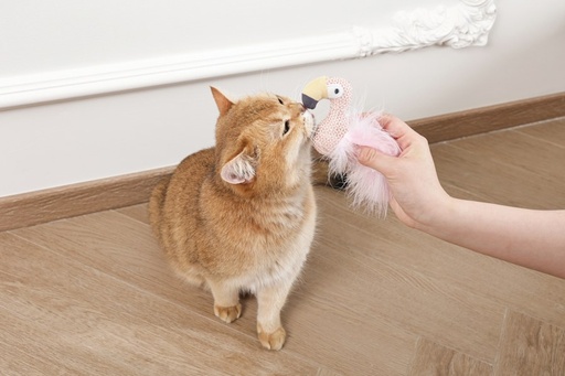 M-pets Plume Catnip Toy Flamingo