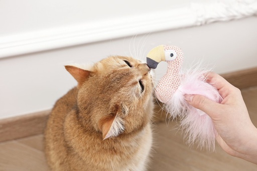M-pets Plume Catnip Toy Flamingo