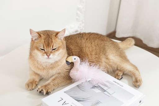 M-pets Plume Catnip Toy Flamingo