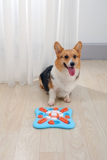 M-pets Brainy Games Copernic - L2 Medium