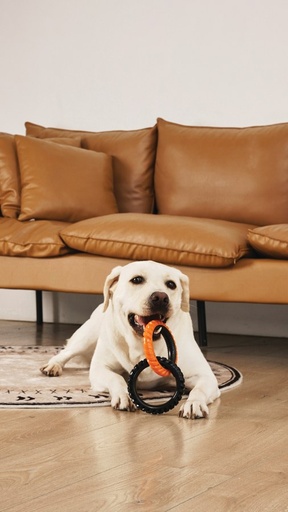 M-pets Ring King Orange & Black Double