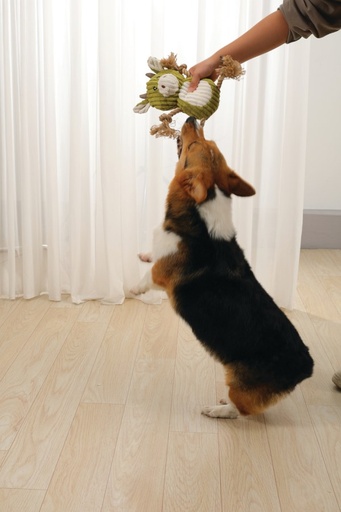 M-pets Rosie Eco Dog Toy