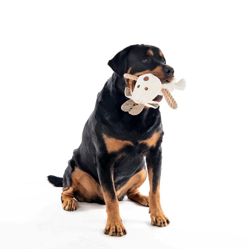 M-pets Rune Eco Dog Toy
