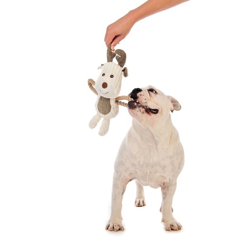M-pets Rune Eco Dog Toy