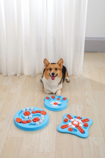 M-pets Brainy Games Darwin - L1 Easy