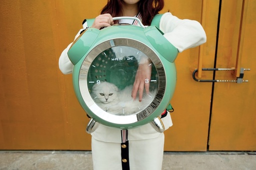 M-pets Sixties Clock Pet Carrier - Green