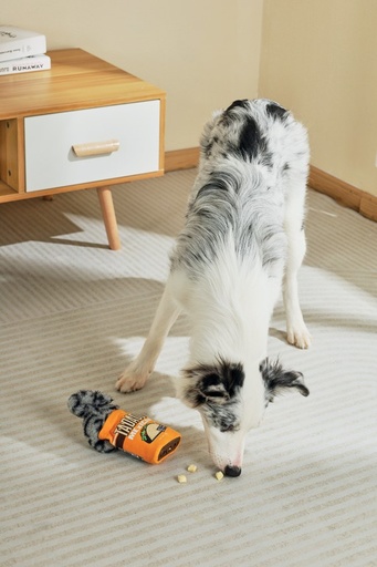 M-pets Snack Attack Food Dispenser Dog Toy - Artie