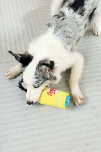 M-pets Snack Attack Food Dispenser Dog Toy - Fran