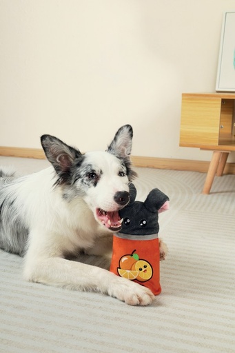 M-pets Snack Attack Food Dispenser Dog Toy - Oscar