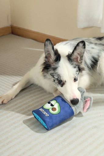 M-pets Snack Attack Food Dispenser Dog Toy - Roger