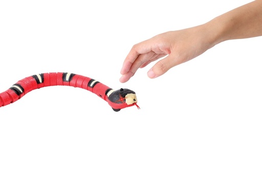M-pets Sneaky Snake Interactive Cat Toy