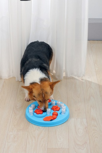 M-pets Brainy Games Einstein - L3 Difficult