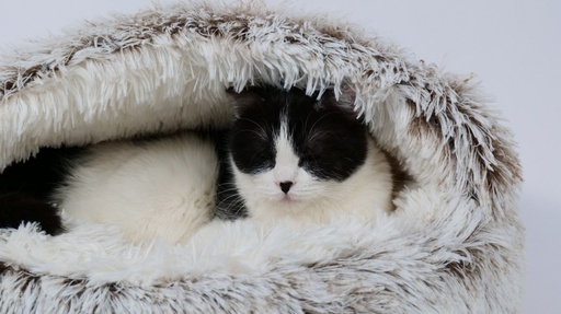 M-pets Snugo Eco Cat Bed - Gray