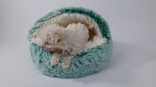 M-pets Snugo Eco Cat Bed - Green