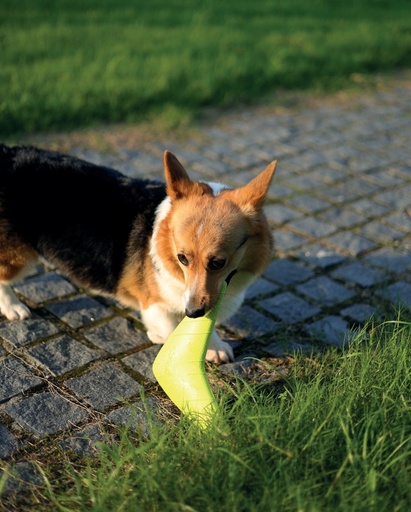 M-pets Splash Boomerangs