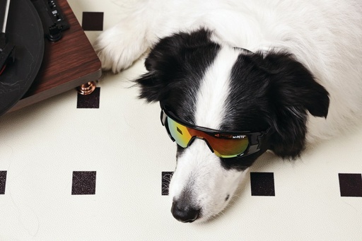 M-pets Sunny Goggles For Dogs Sunbather