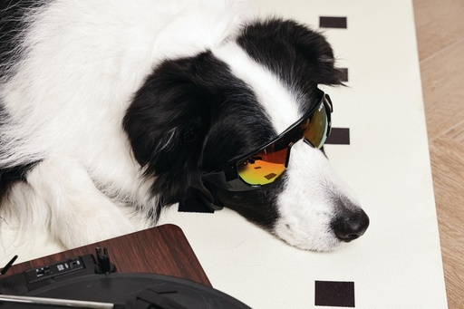 M-pets Sunny Goggles For Dogs Sunbather