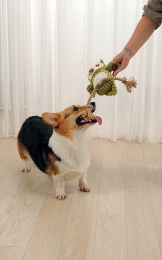 M-pets Thor Eco Dog Toys